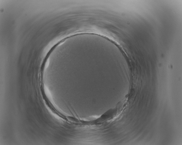 X0000062641519200601181732