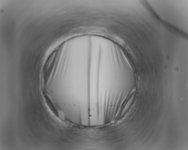 X0000062641520200601181732