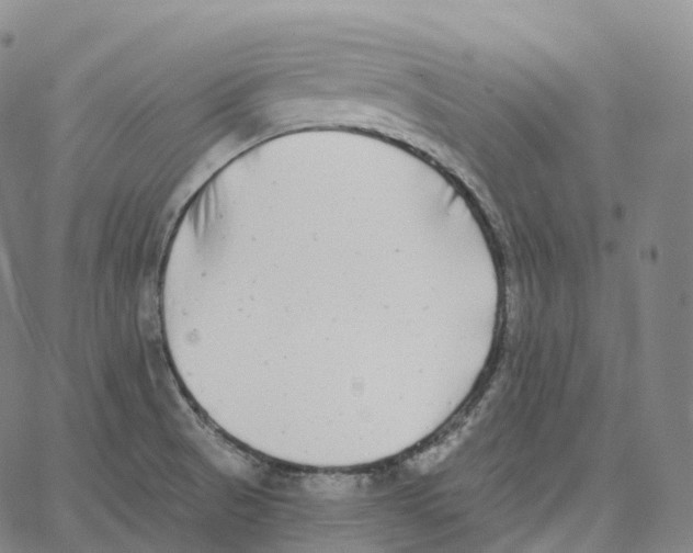 X0000062641521200601181732