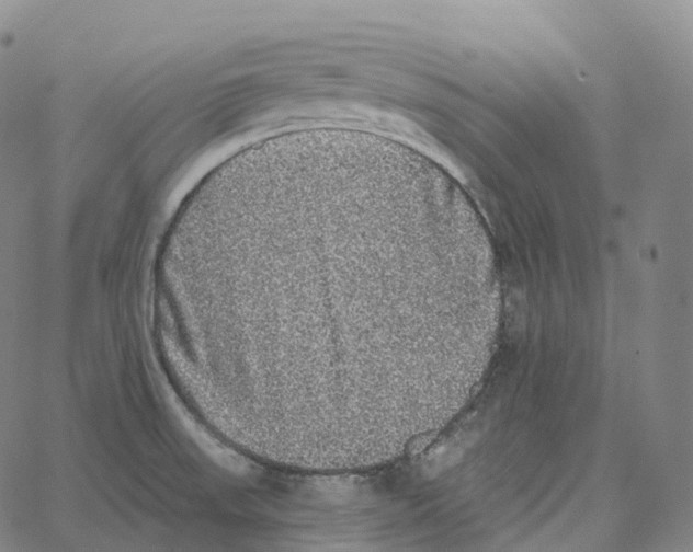 X0000062641523200601181732