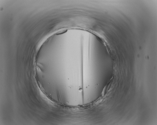 X0000062641524200601181732