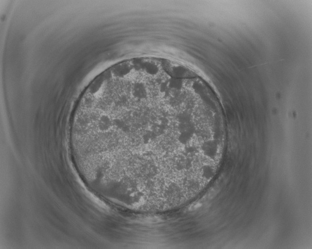 X0000062641525200601181732