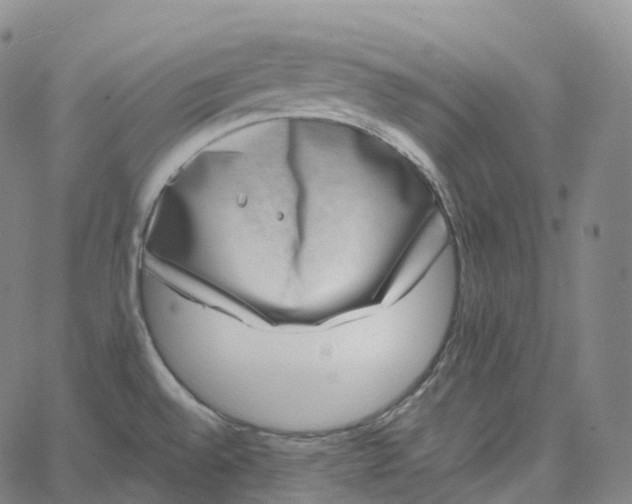 X0000062641528200601181732