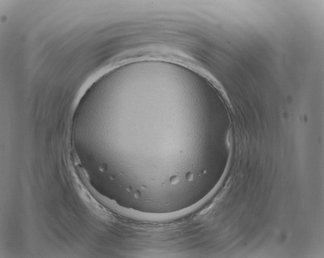 X0000062641530200601181732