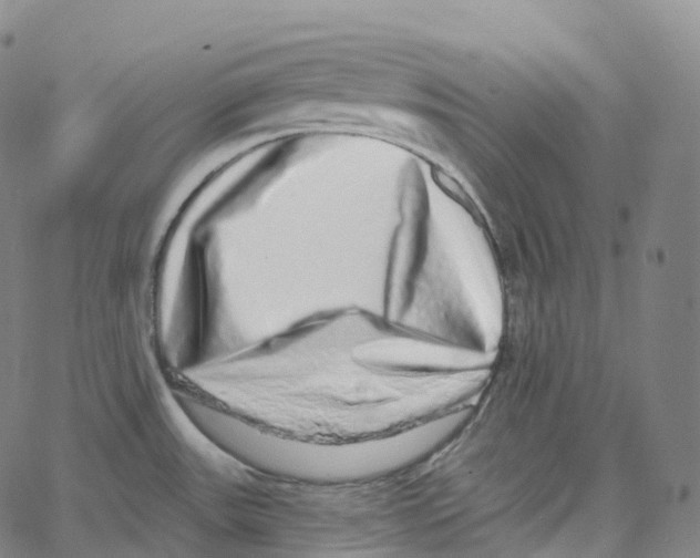 X0000062641531200601181732