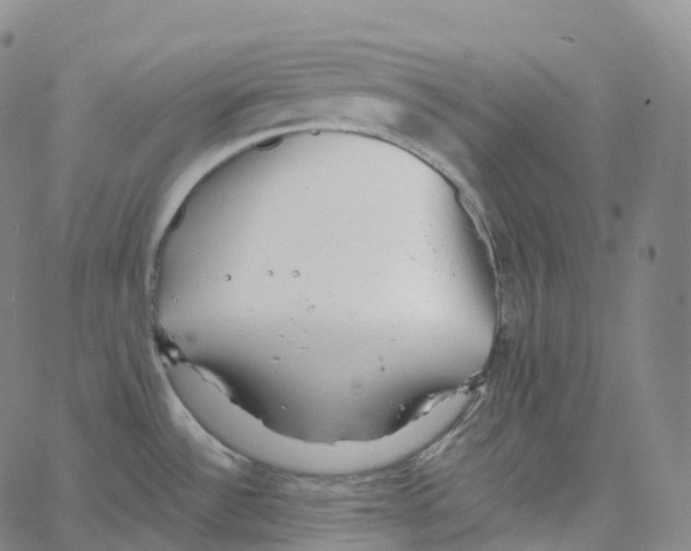 X0000062641532200601181732