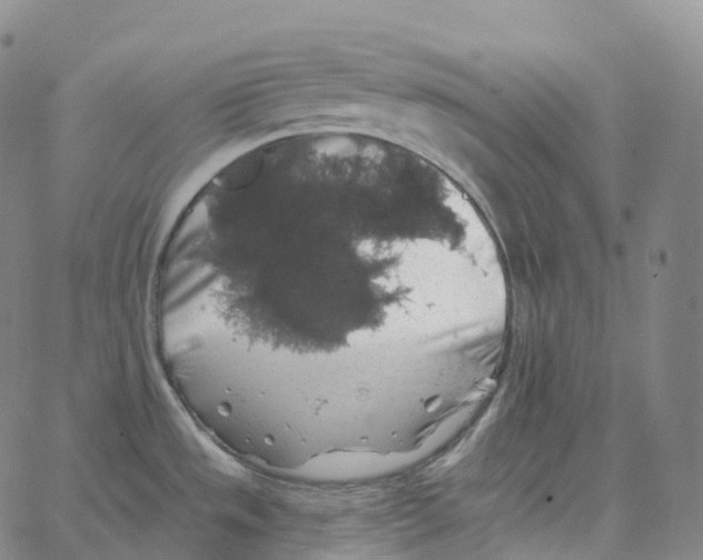 X0000062641533200601181732