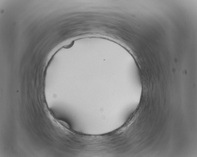 X0000062641534200601181732