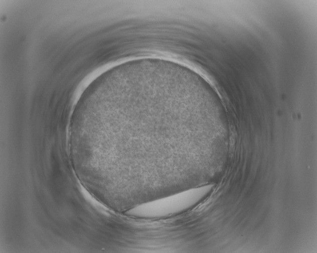 X0000062641535200601181732