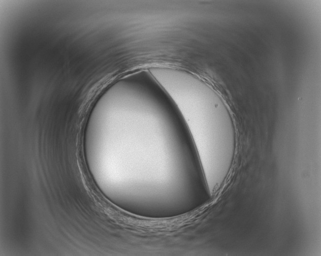 X0000062650001200512211046