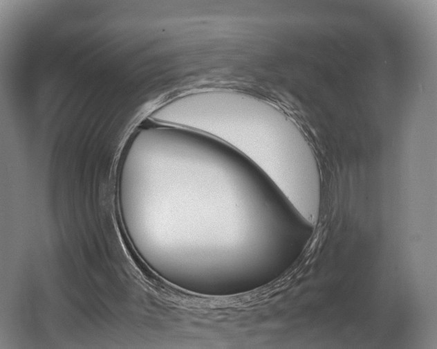 X0000062650003200512211046
