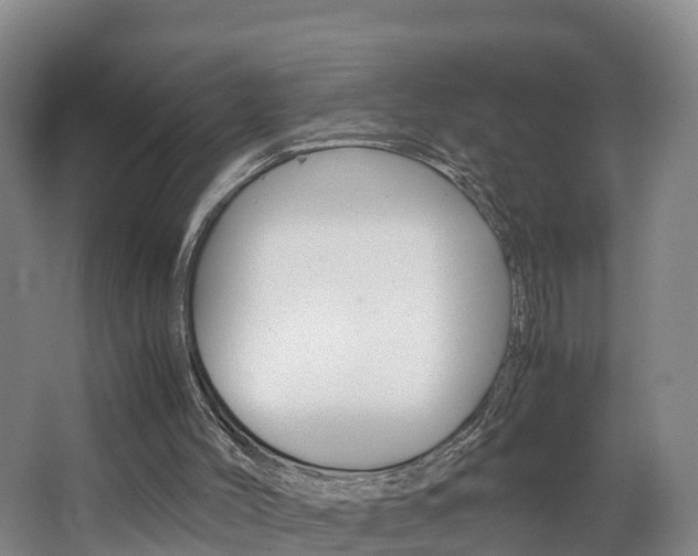 X0000062650004200512211046