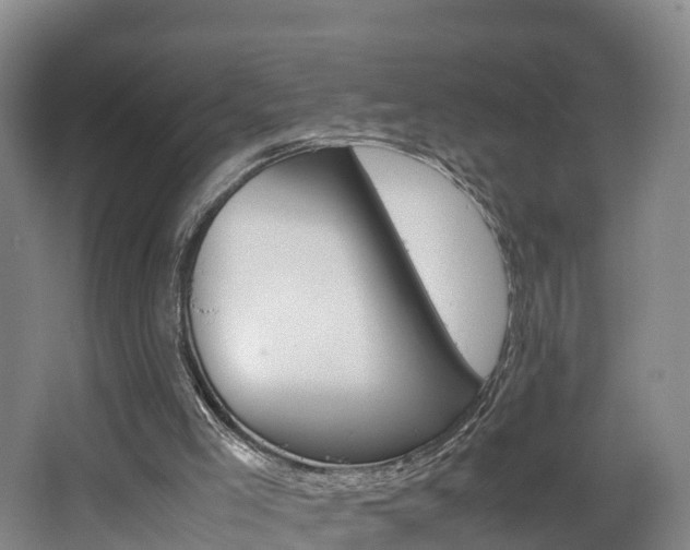 X0000062650005200512211046