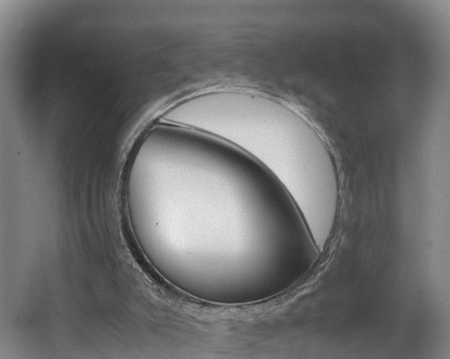 X0000062650007200512211046