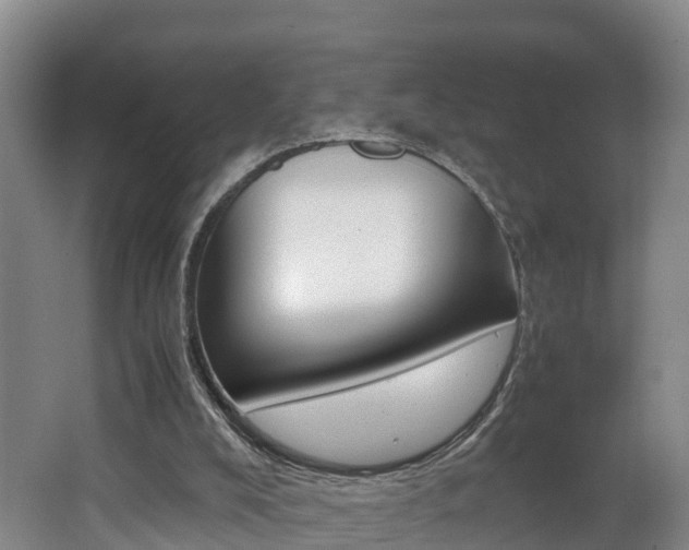 X0000062650008200512211046