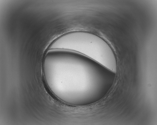 X0000062650011200512211046