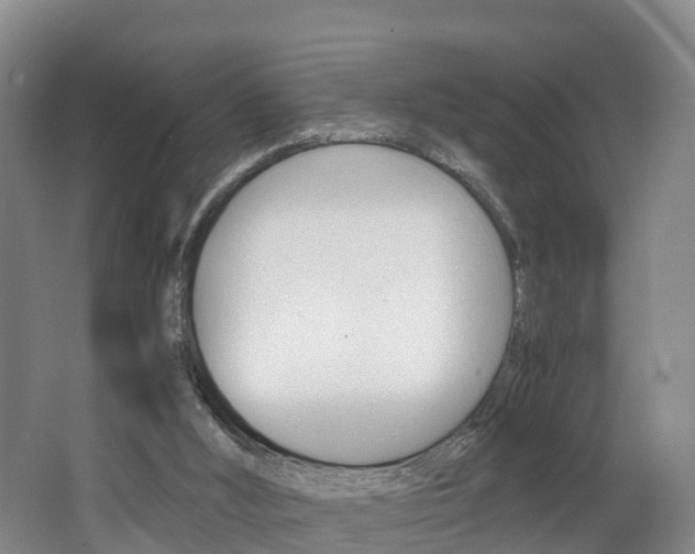 X0000062650012200512211046