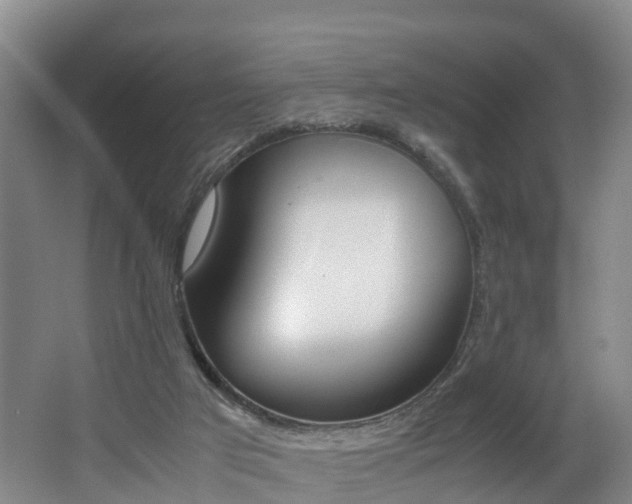 X0000062650017200512211046