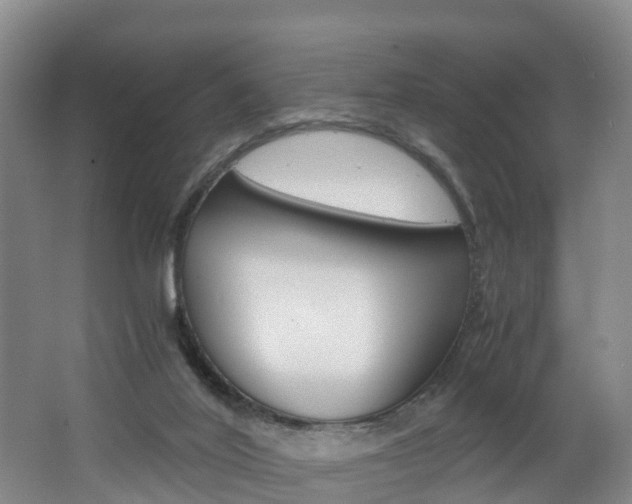 X0000062650020200512211046