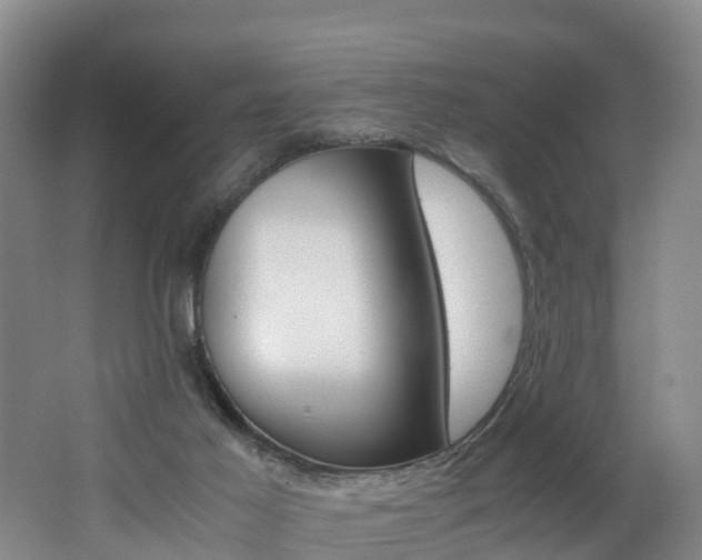 X0000062650021200512211046