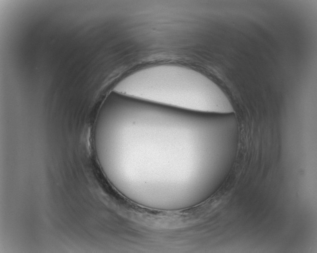 X0000062650024200512211046