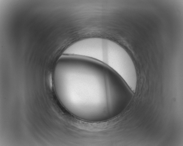 X0000062650027200512211046