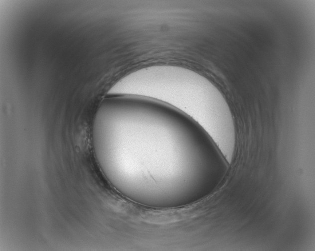 X0000062650029200512211046