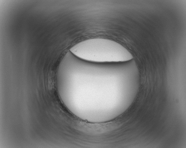 X0000062650030200512211046