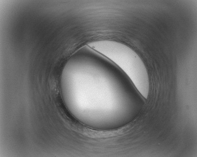 X0000062650031200512211046