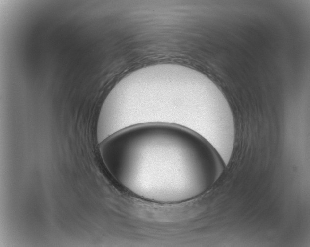 X0000062650039200512211046