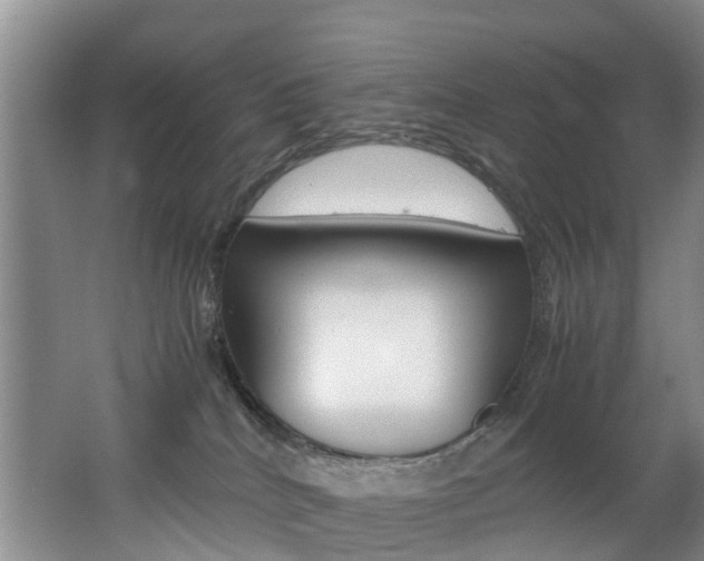 X0000062650040200512211046