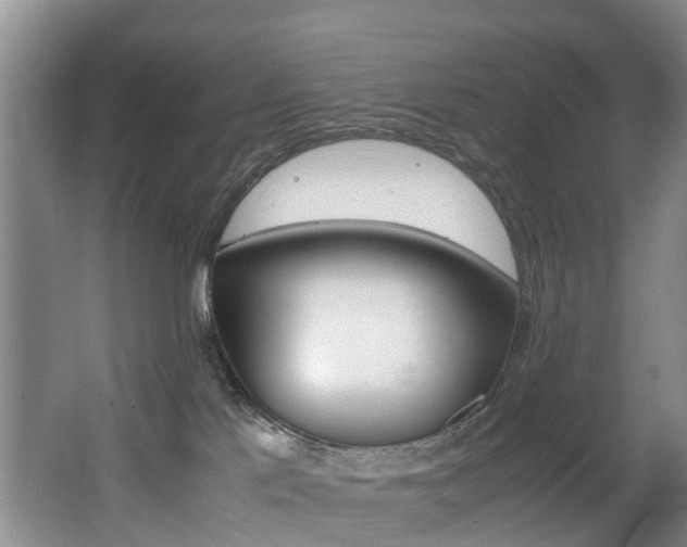 X0000062650041200512211046