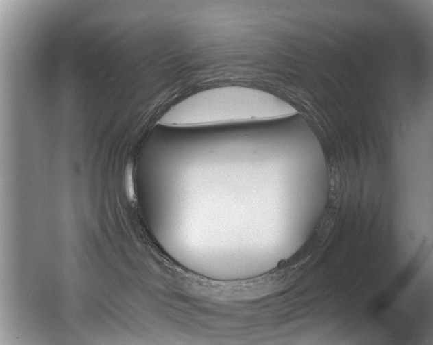 X0000062650046200512211045