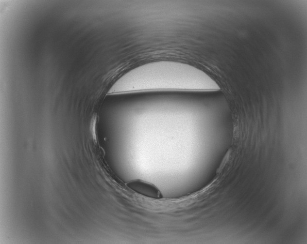 X0000062650047200512211045