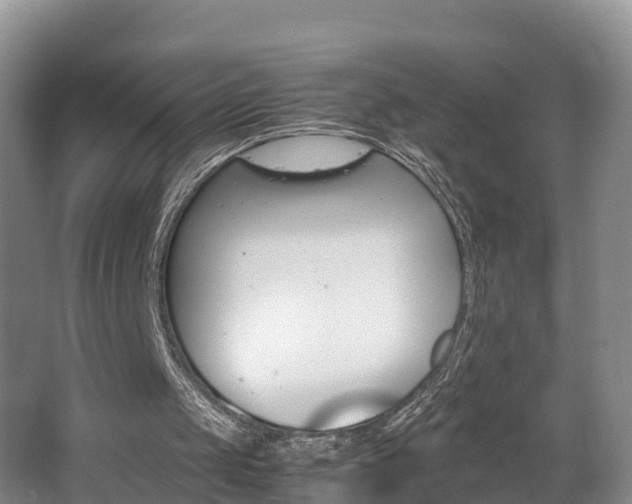 X0000062650049200512211045