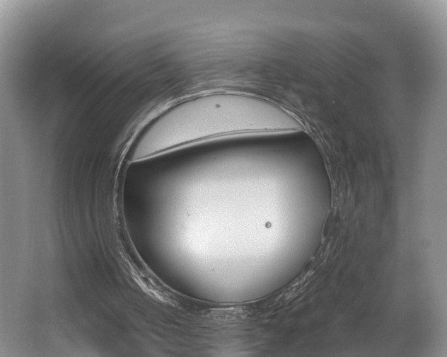 X0000062650050200512211045