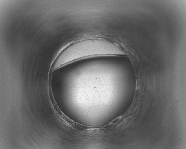 X0000062650052200512211045