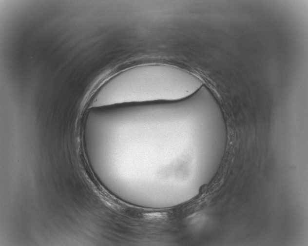 X0000062650053200512211045