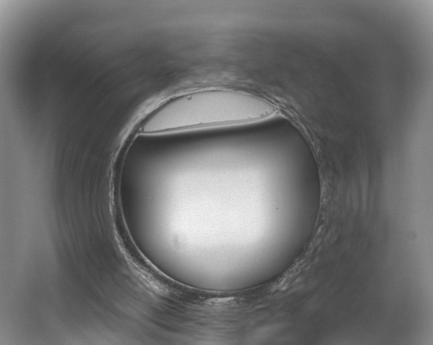 X0000062650054200512211045