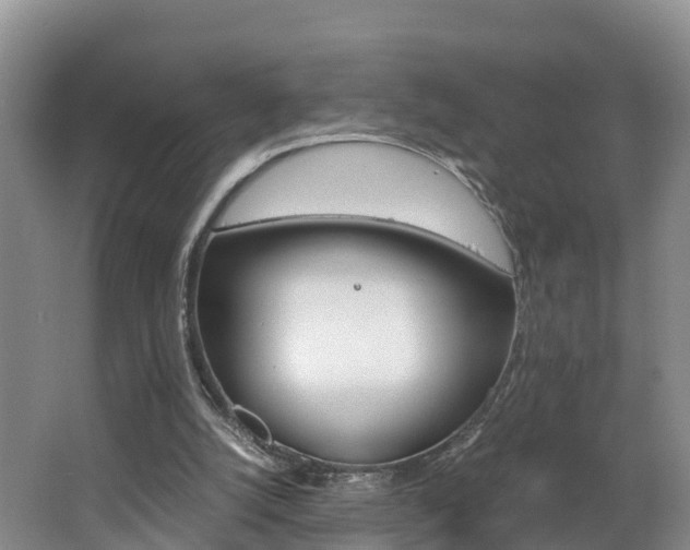 X0000062650056200512211045