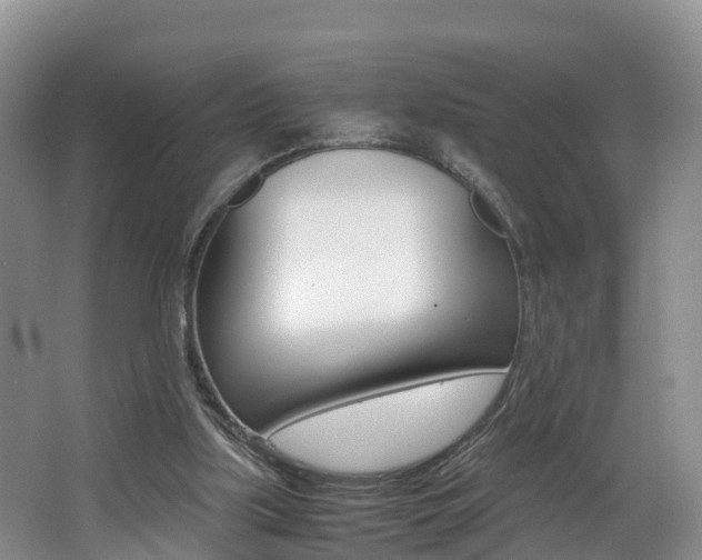 X0000062650059200512211045