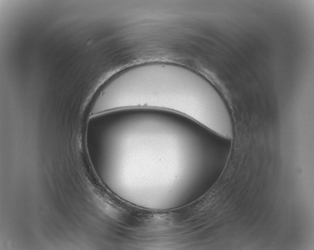 X0000062650060200512211045