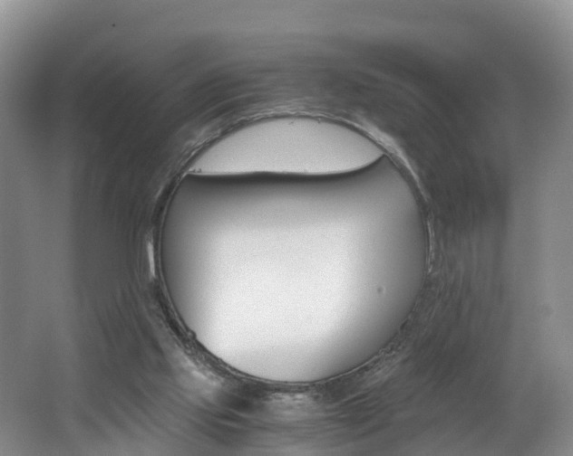 X0000062650061200512211045