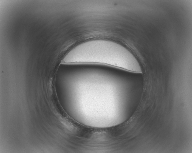 X0000062650066200512211045