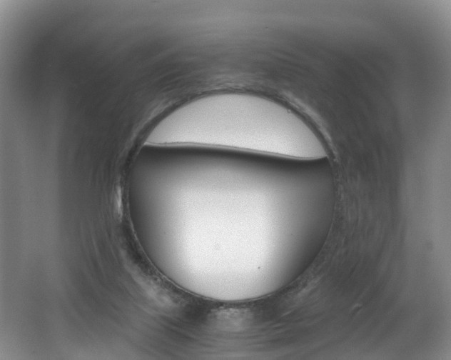 X0000062650067200512211045