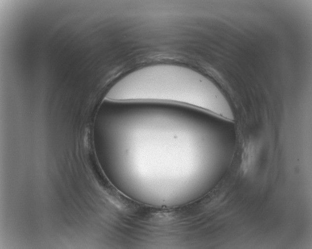 X0000062650071200512211045