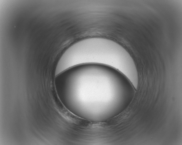 X0000062650072200512211045