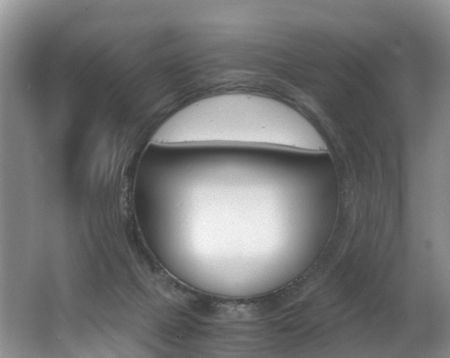 X0000062650073200512211045