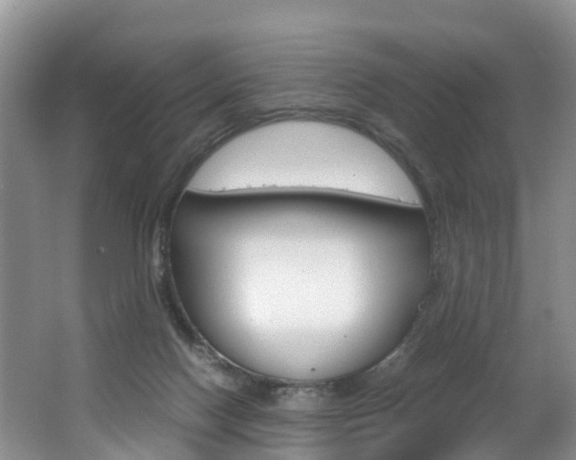 X0000062650074200512211045