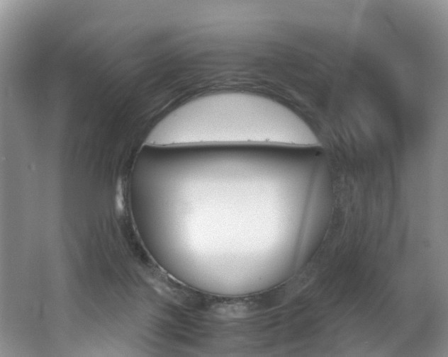 X0000062650075200512211045